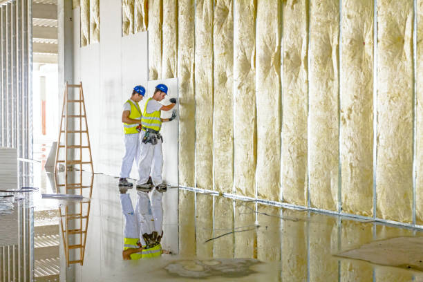Best Attic Insulation Installation  in San Leandro, CA